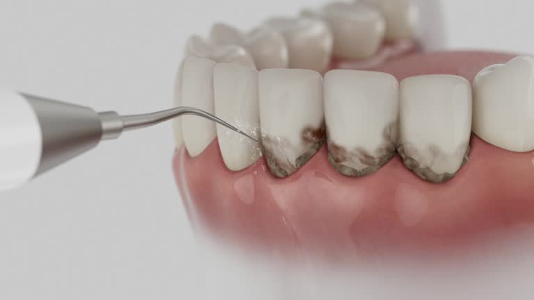 Reliable Dental contractor in Johnstown, CO by Dentist Open Now